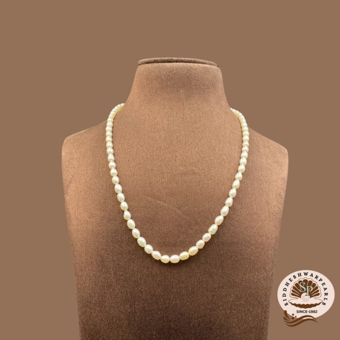 Simple Single Pearl Necklace
